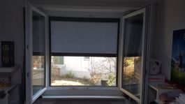 Insektenschutzrollo & Sonnenschutzrollo  B 130cmXH160cm