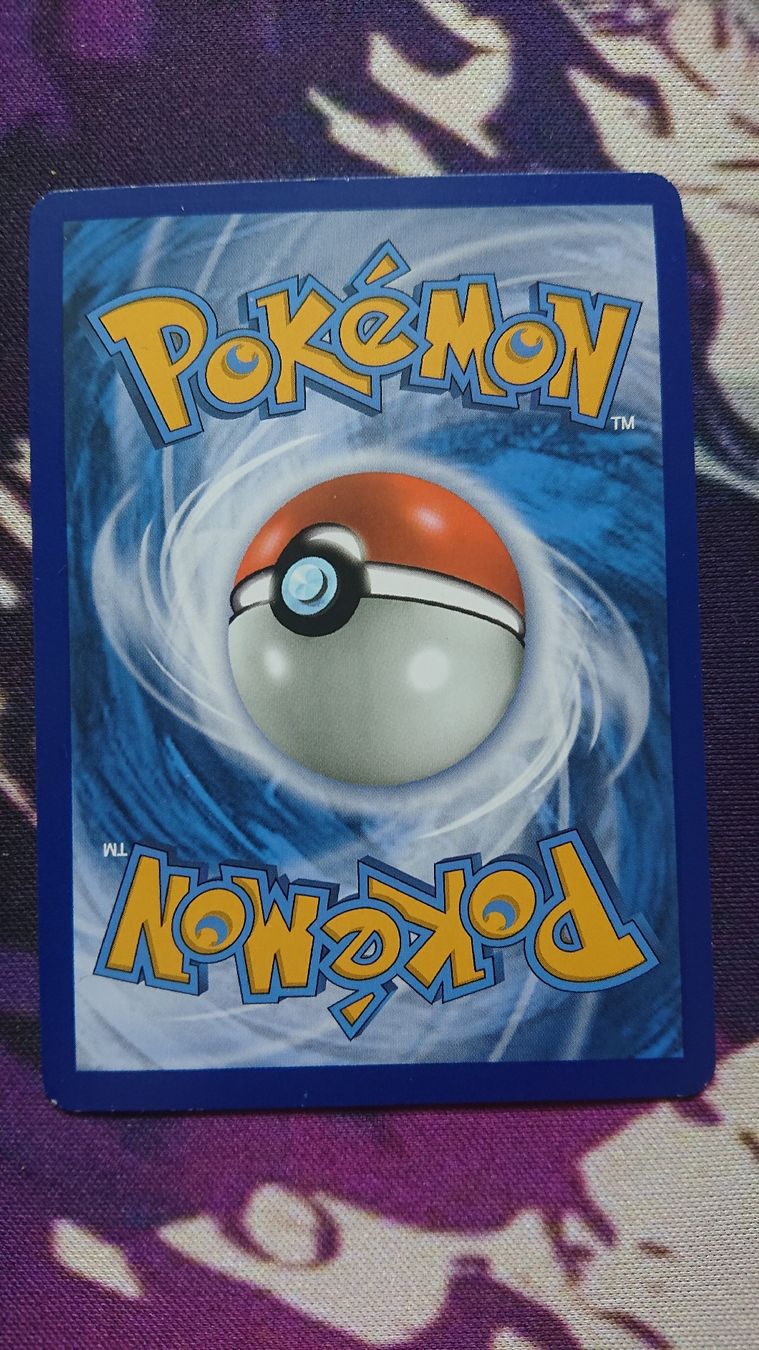Pokémon Carte collezionabili: Pikachu & Zekrom GX Deutsch – Nuovo (secondo la descrizione) da Chur venduto da FreakofRarity 1