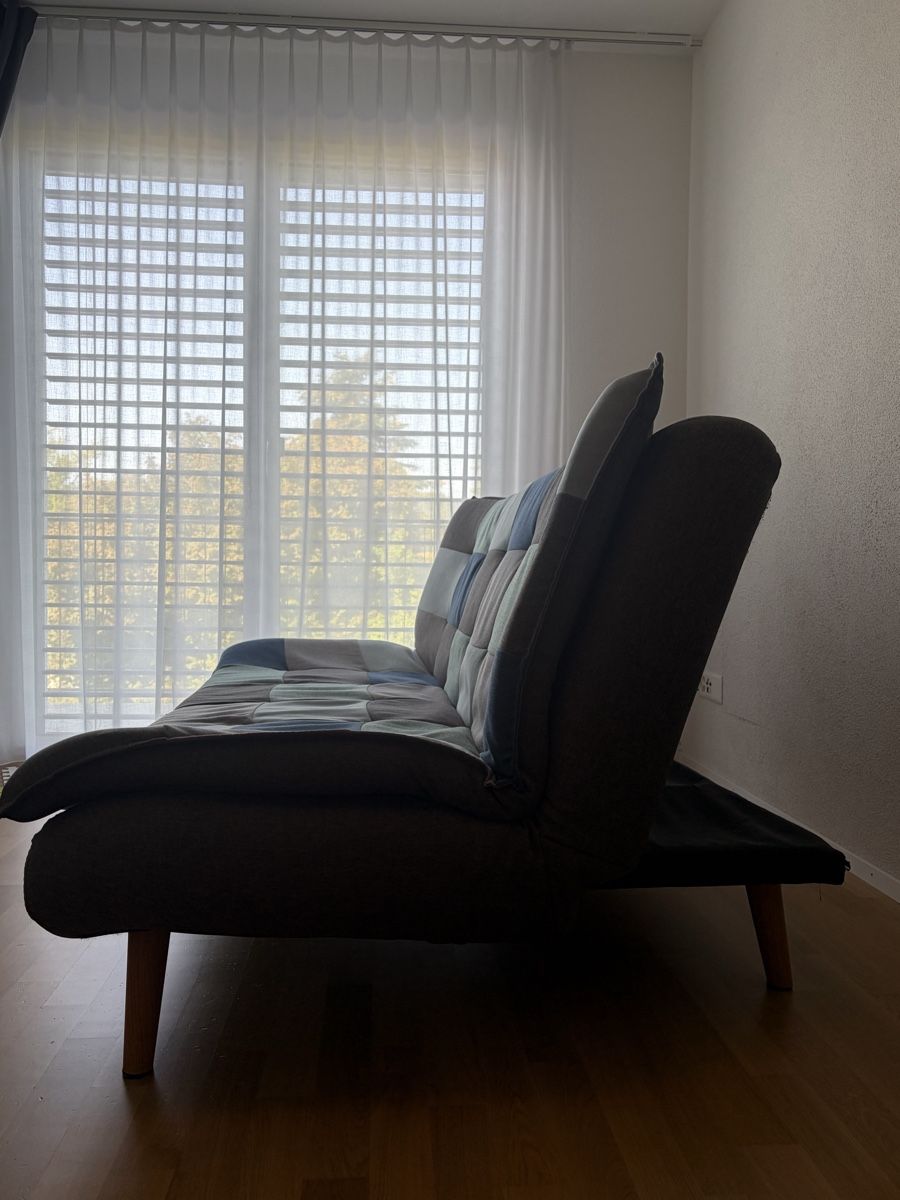Sofas: Schlafsofa – Gebraucht aus Schlatt TG von L-V 3