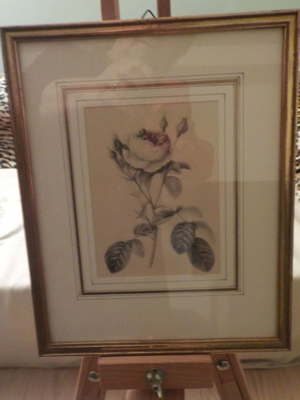 Foto & Immagini: Bild, Rosen mit Rahmen – Usato da Muri b. Bern venduto da Silberqualle