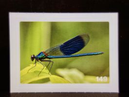 MIGROS MANIA Nature Detectives Nr. 149