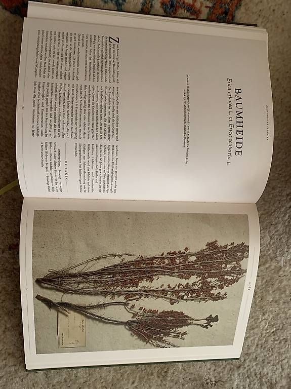 Bücher: Herbarium orbis Bildband – Gebraucht aus Eschenbach von cla_d96r 2