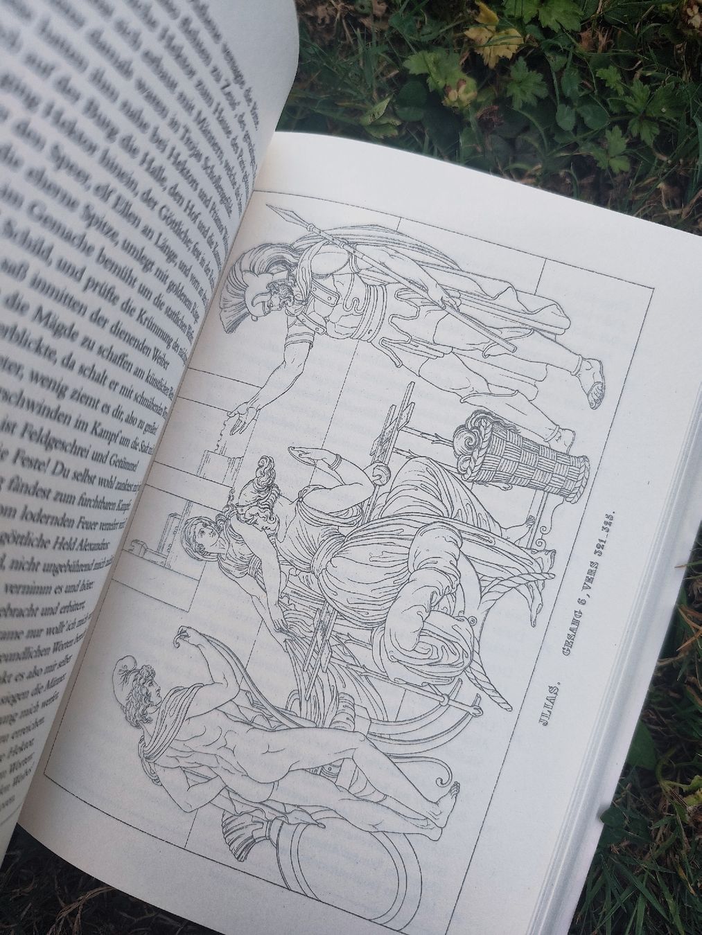 Bücher: Homer Odyssee Ilias – Gebraucht aus Mägenwil von VintageGirly 5