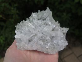 Bergkristall mit vielen Spitzen von Bulgarien