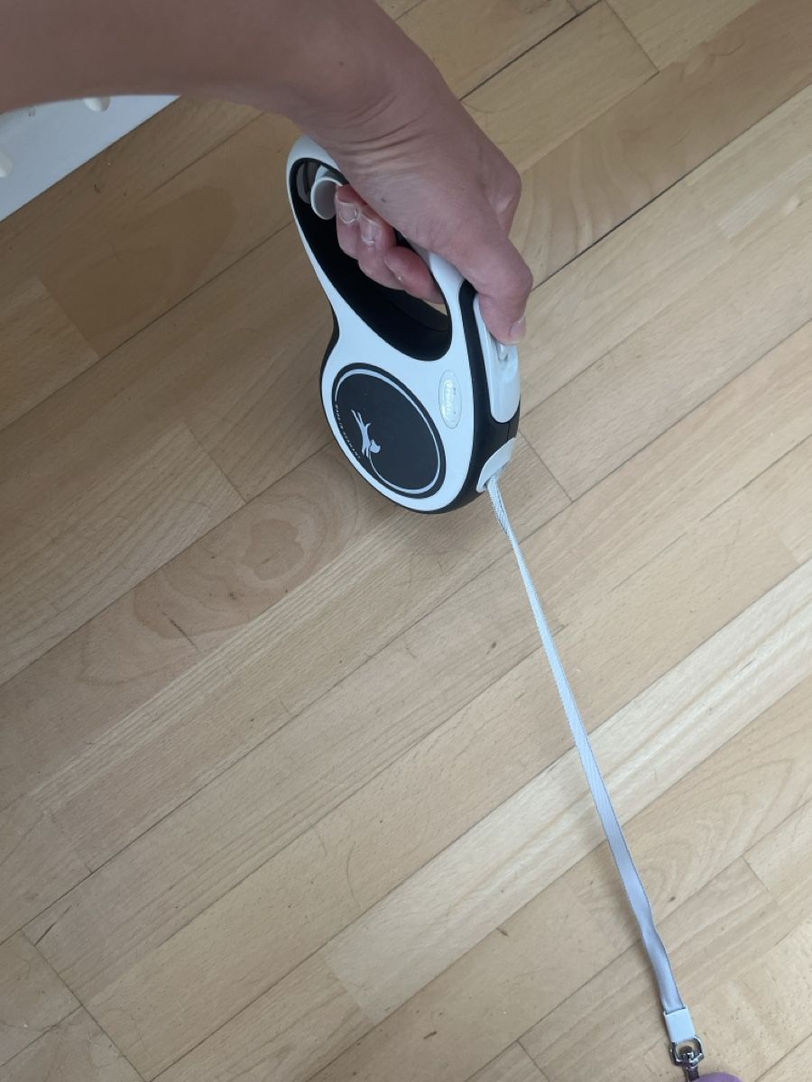 Flexi Guinzagli & Collari: Hundeleine Flexi 5m 20kg – Nuovo (secondo la descrizione) da Ittigen venduto da ece_fj9k 2