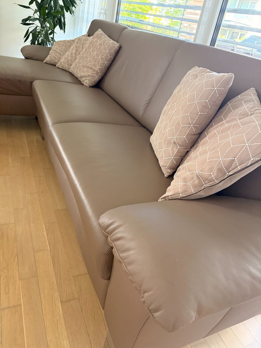 Divani: Ledergruppe Selection Plus Couchvom Designer Ewald Schilling – Usato da Arbon venduto da uak01 1