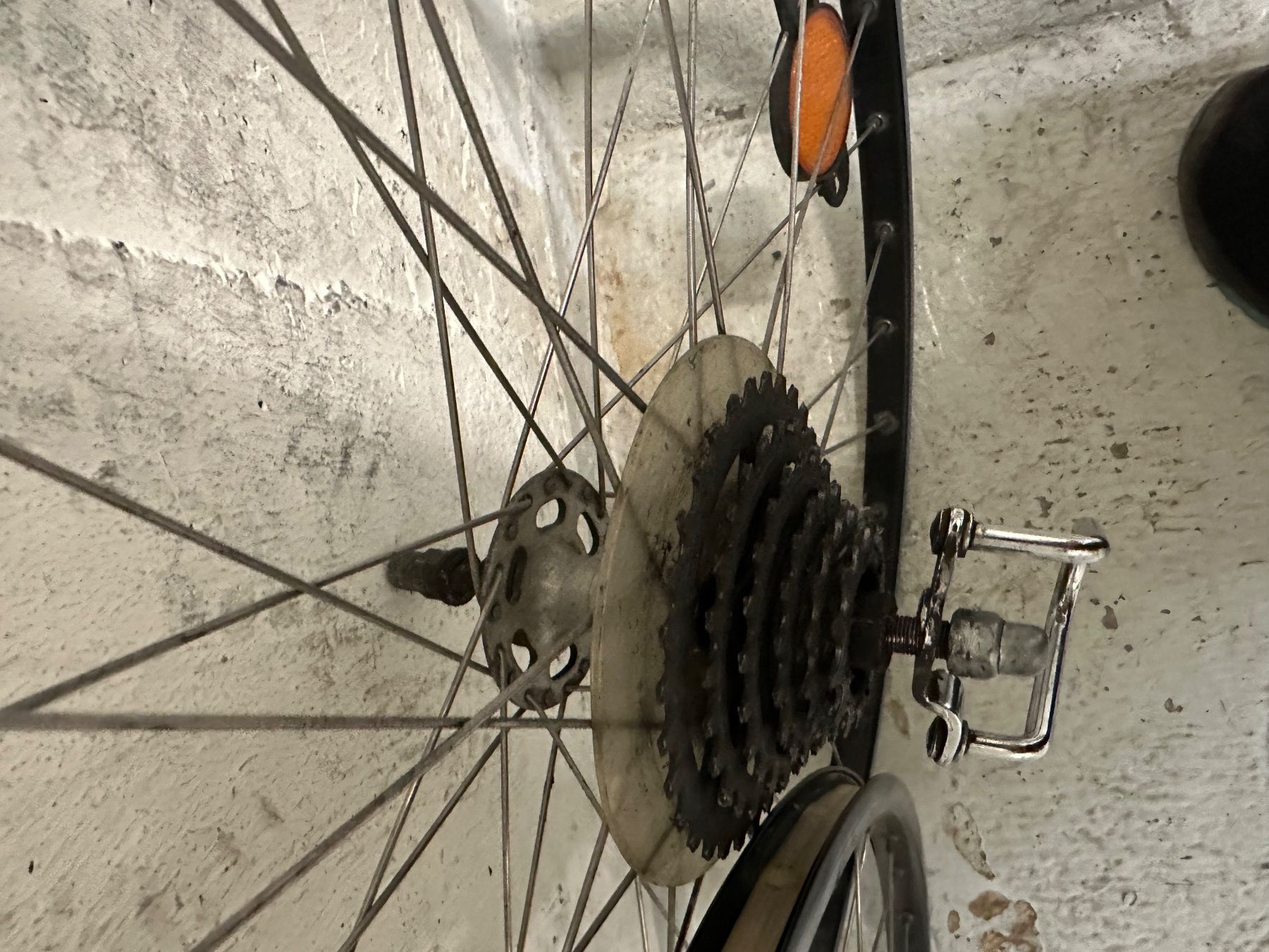 Pezzi di ricambio: VeloFelgen 28 zoll – Usato da Zug venduto da uri_z6fm 2