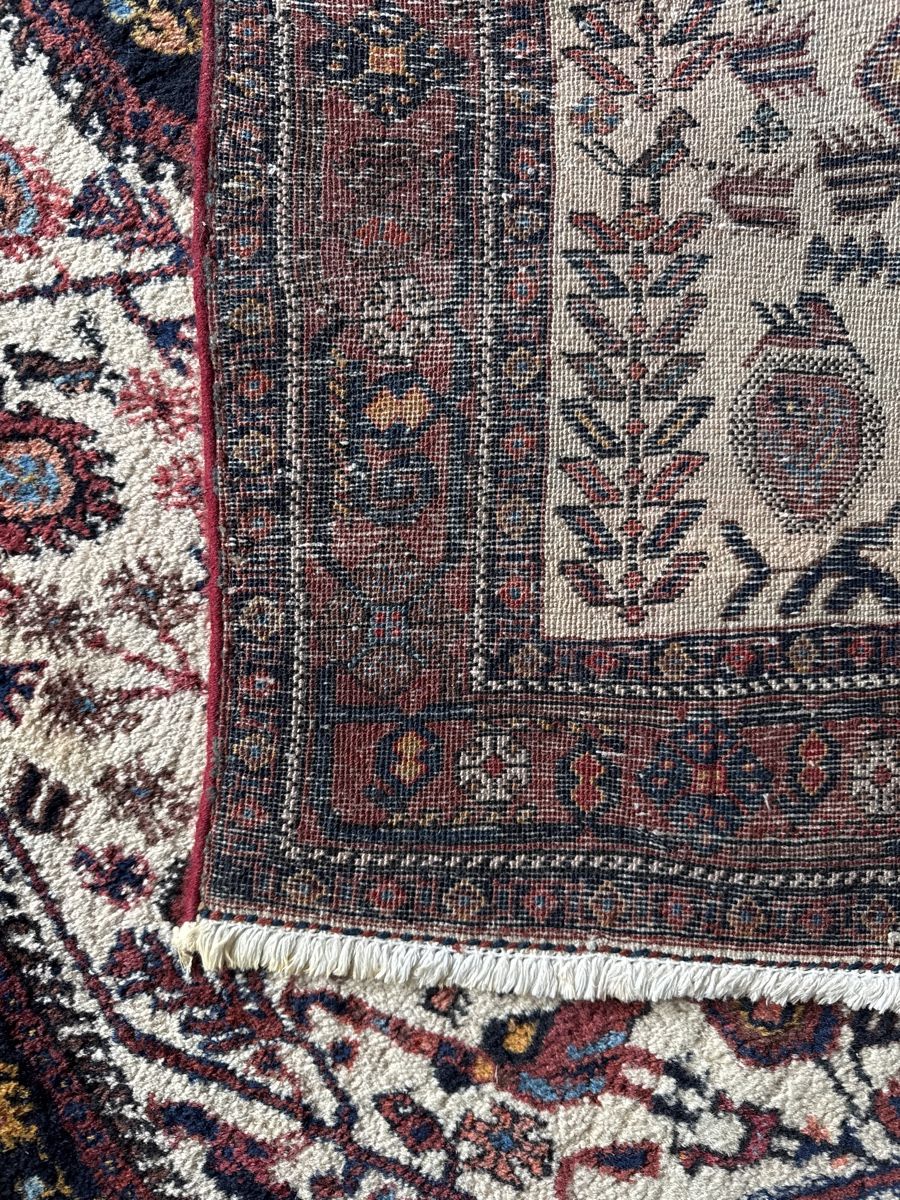 Tappeti: Einmalig schöner Perserteppich Afshar – Usato da Frauenkappelen venduto da leola1973 4