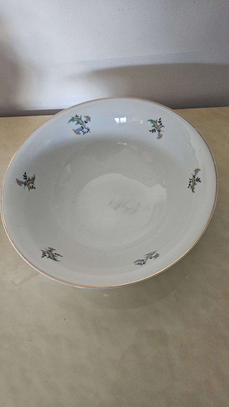 Schalen: Ciotola e piatto con manici con decoro floreale Langenthal – Gebraucht aus Melano von H-Sara 1
