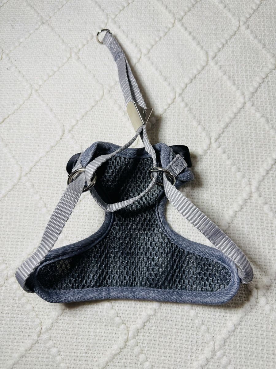 Collier et laisse: Süsses Hunde- oder Katzengeschirr NEU – Neuf (Voir description) à Eschlikon TG par little.dove 2