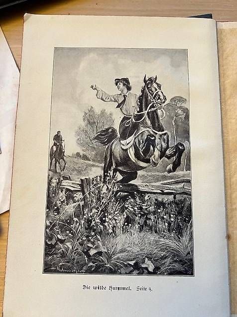 Libri: Die wilde Hummel / Käthe van Beeker – Usato da Eschlikon TG venduto da Farewell01 2