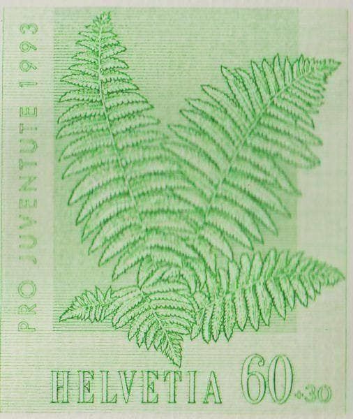 Tous les timbres: 1993 Folder gab es nur als Postgeschenk – Neuf (Voir description) à Adliswil par Aenti 1
