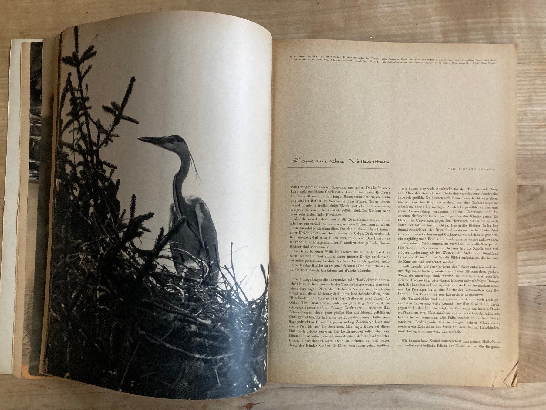 Revues & Magazines: Du (April 1946 - Frühling) – D'occasion à Richterswil par Nathan_adler 2