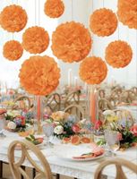 Deko Pompons Papier Orange neu
