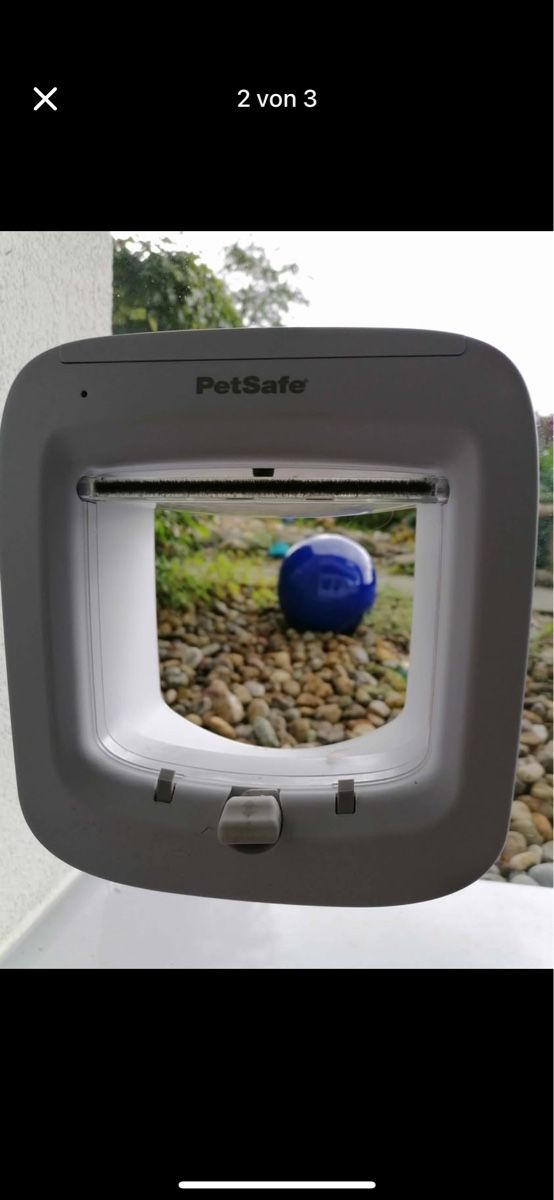 Katzenklappen: Doppeltes Sicherheitsglas inkl PetSafe Microchip Katzenklapp – Gebraucht aus Hinteregg von chteddy 1