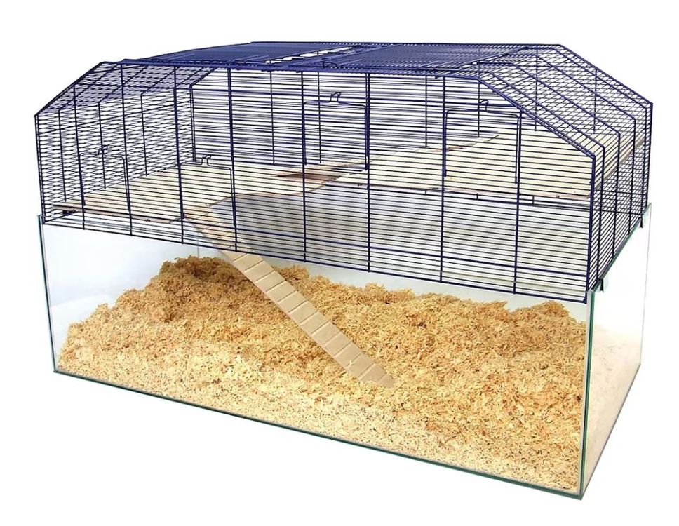 Großes Glasterrarium Mit Metallwanne & Kugelfüßen – Für Pflanzen & Kleintiere, 24,1x14,5x30 Cm