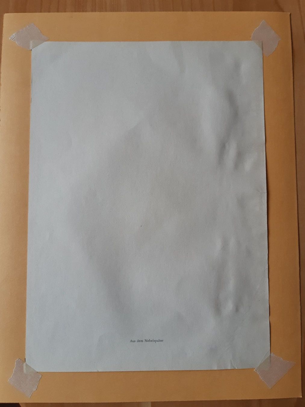 Grafica & Litografie: Nr 20 original Litho Nebelspalter – Usato da Grindelwald venduto da carro5 3