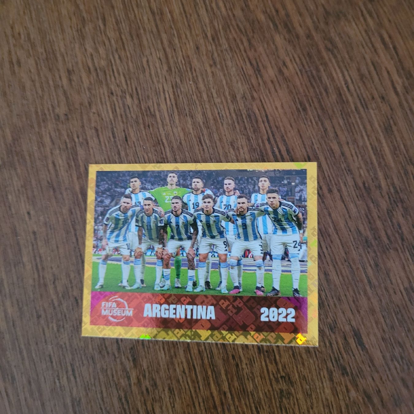 Panini Carte collezionabili: Panini 26 FWC 19 – Nuovo (secondo la descrizione) da Winterthur venduto da Flomal