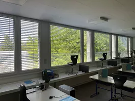 Fenster 2-fachverglasung von ganzem  Schulhaus 85 Stk .