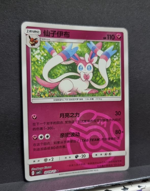 Pokémon Battle Figure Monferno