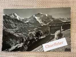 11529 Jsenfluh ob Lauterbrunnen