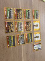 Panini Bilder