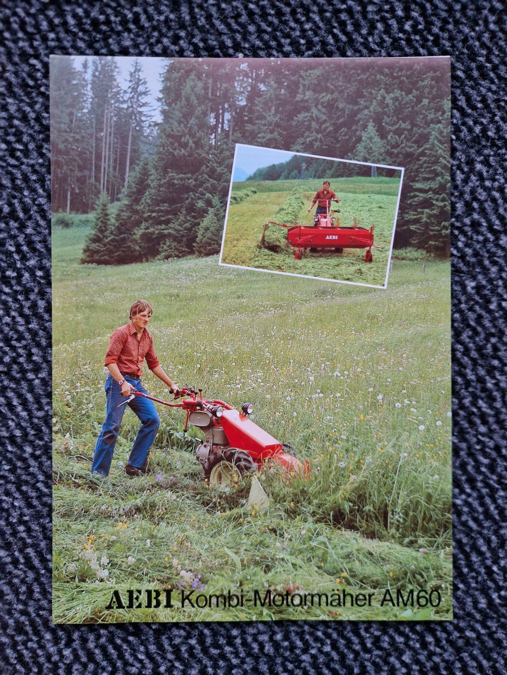 Aebi Tracteurs: Original Prospekt Aebi Kombi-Motormäher AM60 – D'occasion à Dürnten par Bachtel84