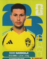 FIFA WORLD CUP 2026 Panini Sticker SWE 16 ROONY BARDGHJI
