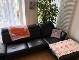 Ecksofa Pfister Leder Schwarz