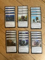 MtG Lorwyn eclipsed white cards (57 cards) EN