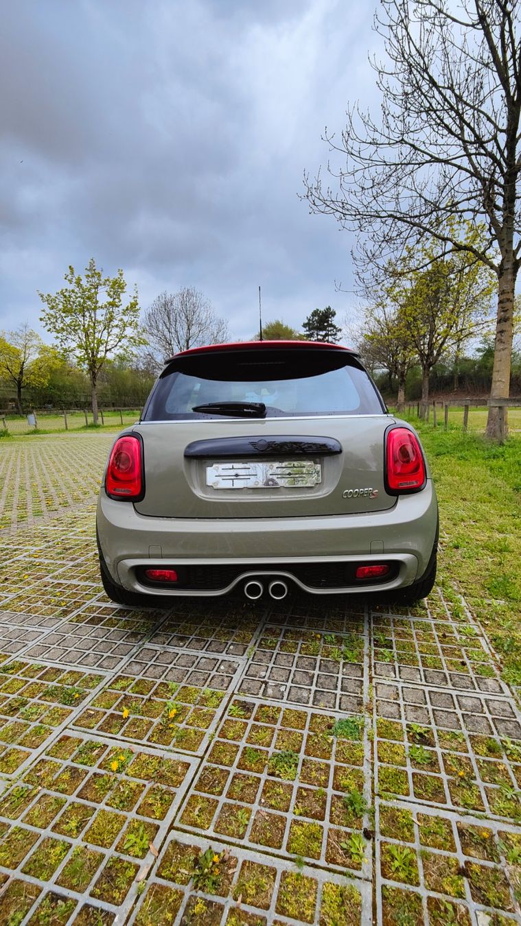 Mini Automobili: Mini Cooper S 192PS – Usato da Luzern venduto da Soorsi6210 3