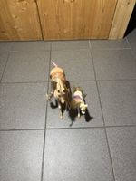 Barbie Pferde und satel