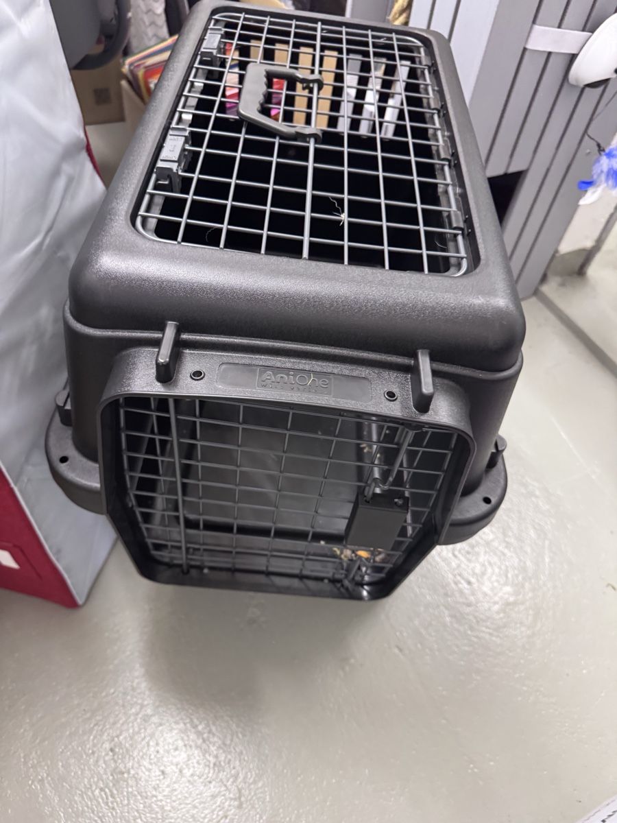 Cucce & Letti: Transportbox Katze AniOne – Usato da Pfäffikon ZH venduto da Lumika