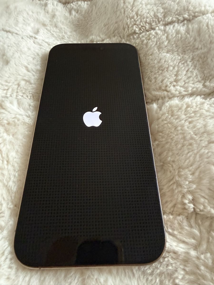 Apple Telefoni cellulari / Smartphones: Apple iPhone 16 Pro Max 256 GB – Usato da Euthal venduto da Ohhhhlala 1
