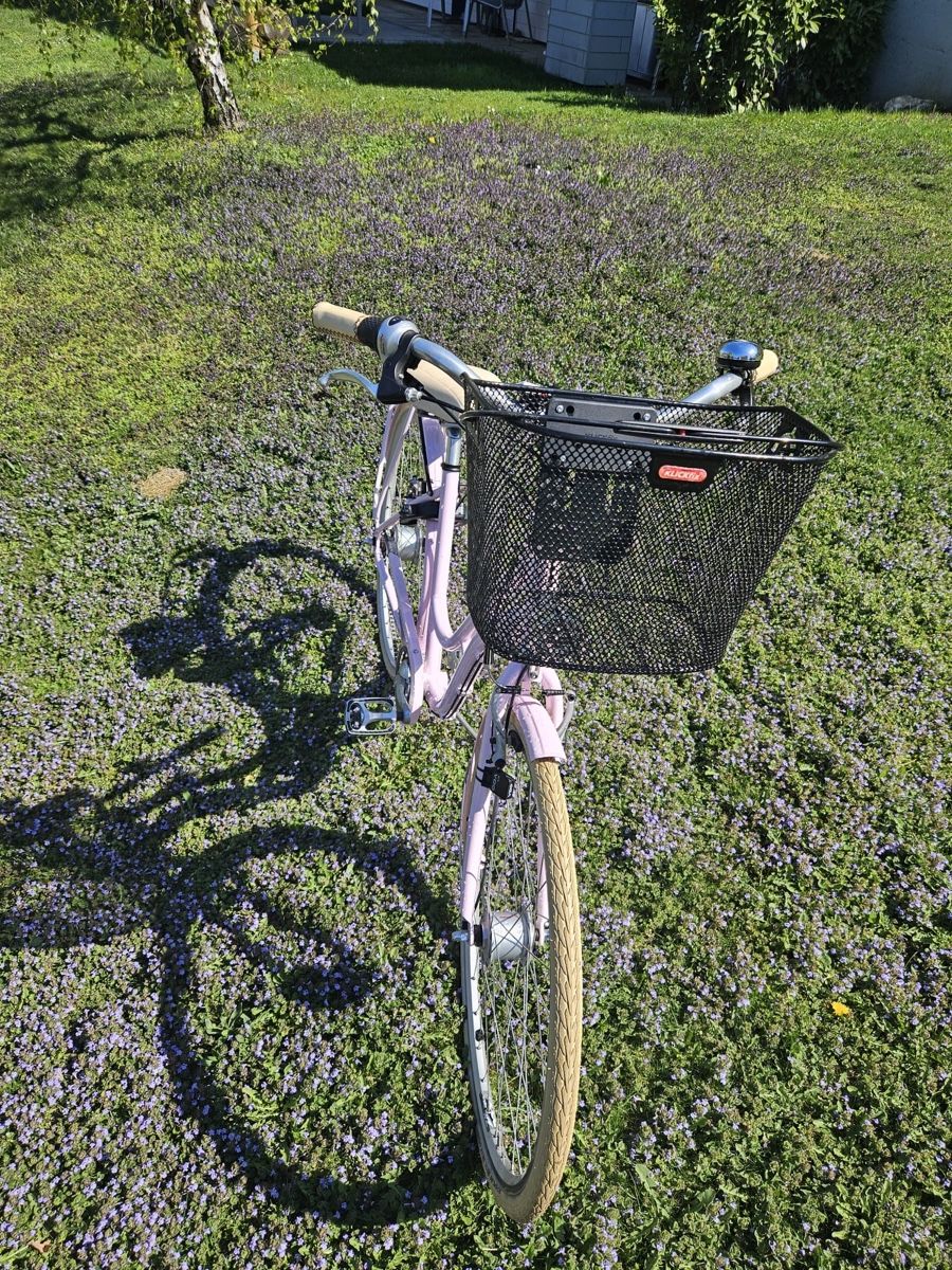 Cresta Biciclette: Vélo Cresta Boulevard rose, avec panier et accessoires – Nuovo (secondo la descrizione) da Martigny venduto da ctr200 5