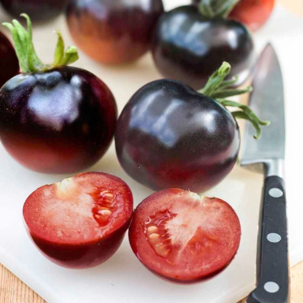 Piante & sementi: 100 Samen Tomate AMERICAN BLUE – Nuovo (secondo la descrizione) da Ehrendingen venduto da VerveinaSamen 4