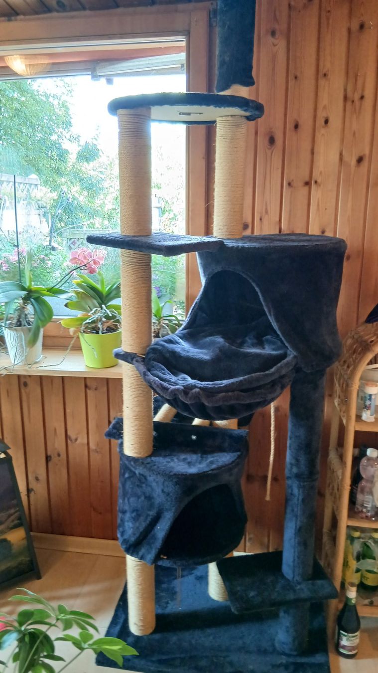 Katzenbaum - Kratzbaum: Katzenbaum – Gebraucht aus Wiedlisbach von Hobby2 1