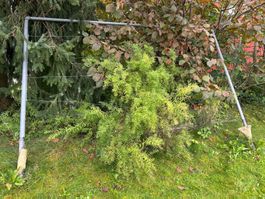 Rankhilfe für Weinreben