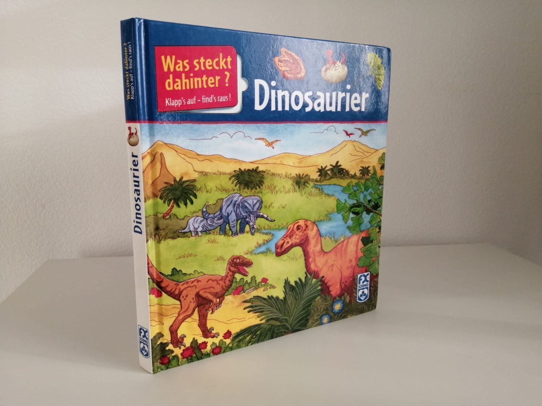 Libri: Kinderbuch Dinosaurier – Usato da Zürich venduto da kitsune