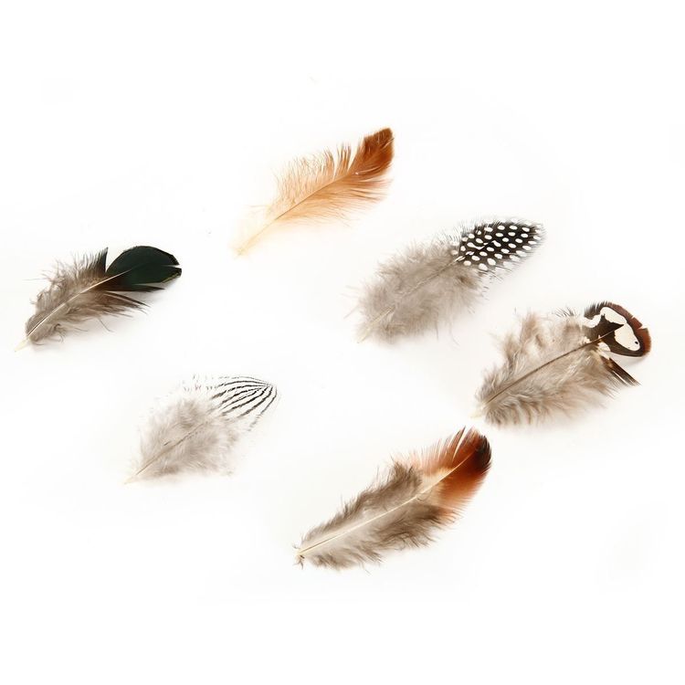 JAPANPARTS Federn Set ZC2981A - 2 Stück Federung Für Fahrzeuge