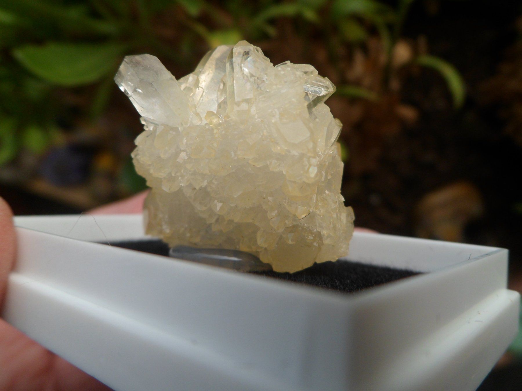 Mineralien & Heilsteine: Bergkristall Schinschlucht – Neu (gemäss Beschreibung) aus Affoltern am Albis von Fossil60 5