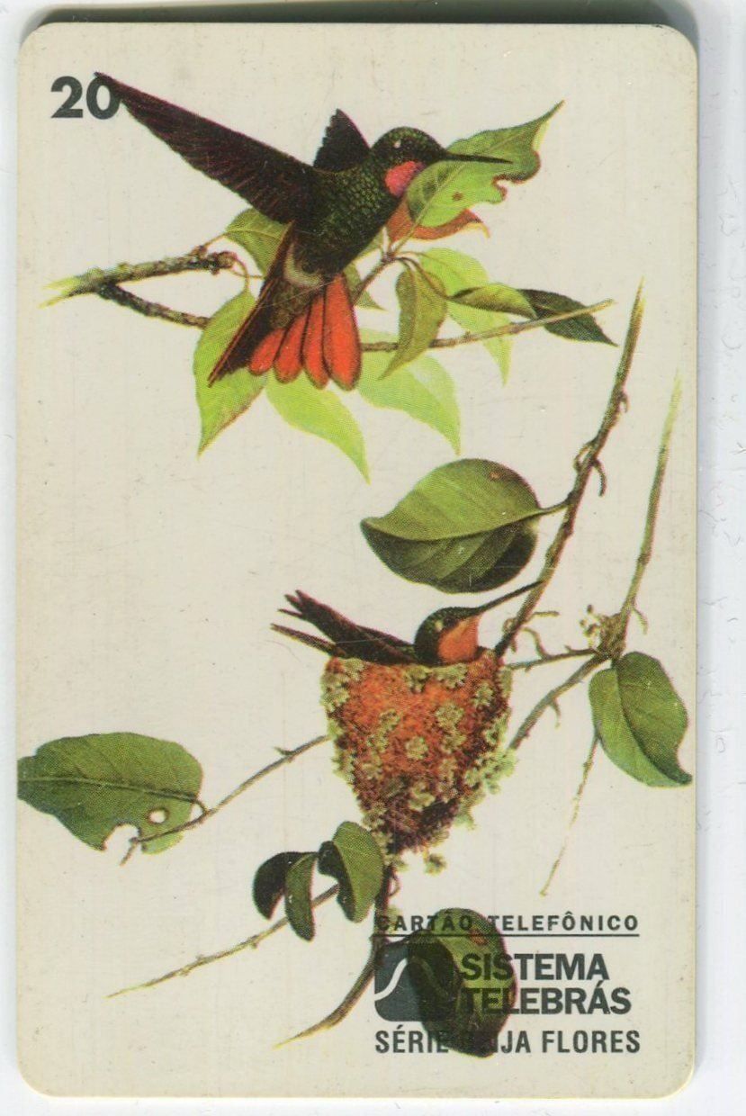 Schede telefoniche: Telefonkarte "Kolibri". Brasilien. – Usato da Basel venduto da Butsch5
