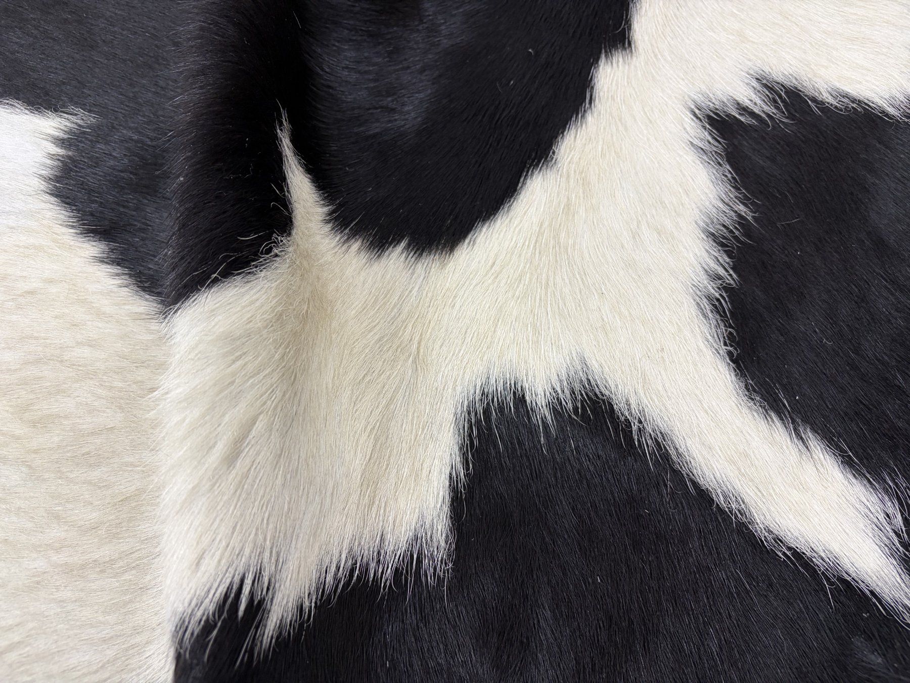 Tappeti: echtes Kuhfell Teppich – Nuovo e nell'imballaggio originale da Arbedo venduto da patagonialeatherrugs 2