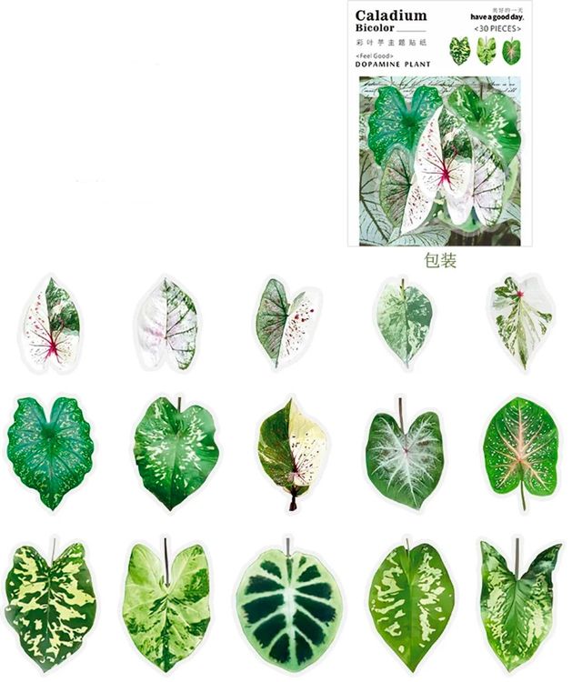 46 Stück Pflanzen-Aufkleber | Grüne Blätter, Dschungel-Design, Aus PVC – Für Scrapbook, Kalender & DIY