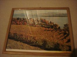 Gerahmtes Herbstbild " Meilen ZH am See", stimmungsvoll