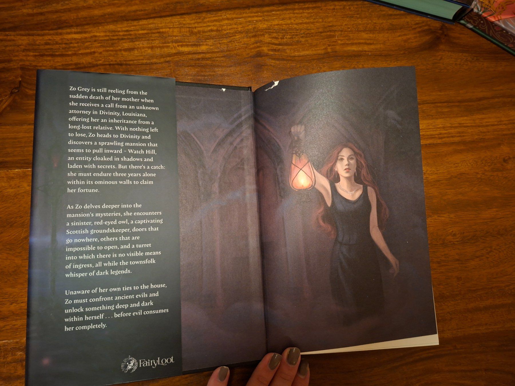 Libri: FAIRYLOOT packet, signierte Bücher – Nuovo (secondo la descrizione) da Regensdorf venduto da amb_n5n7 2