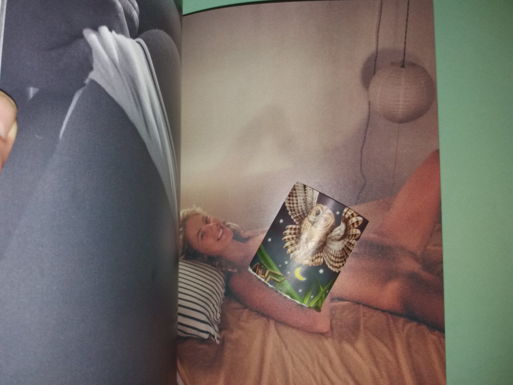 洋書 Tasjaki Henrik Purienne Henrik Purienne: Tasjaki