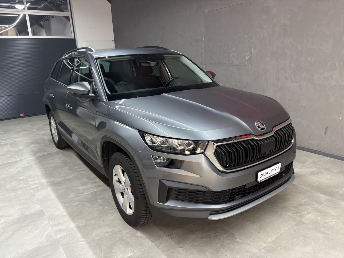 Skoda Kodiaq Gebraucht In Der Nahe
