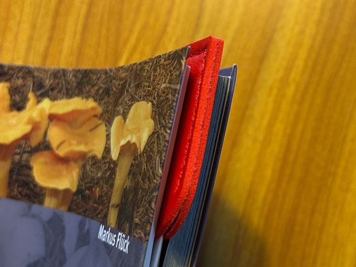 Altre raccolte & rarità: Buchzeichen Lesezeichen Buch Herz Kunstleder – Nuovo (secondo la descrizione) da Steffisburg venduto da smocky17 4