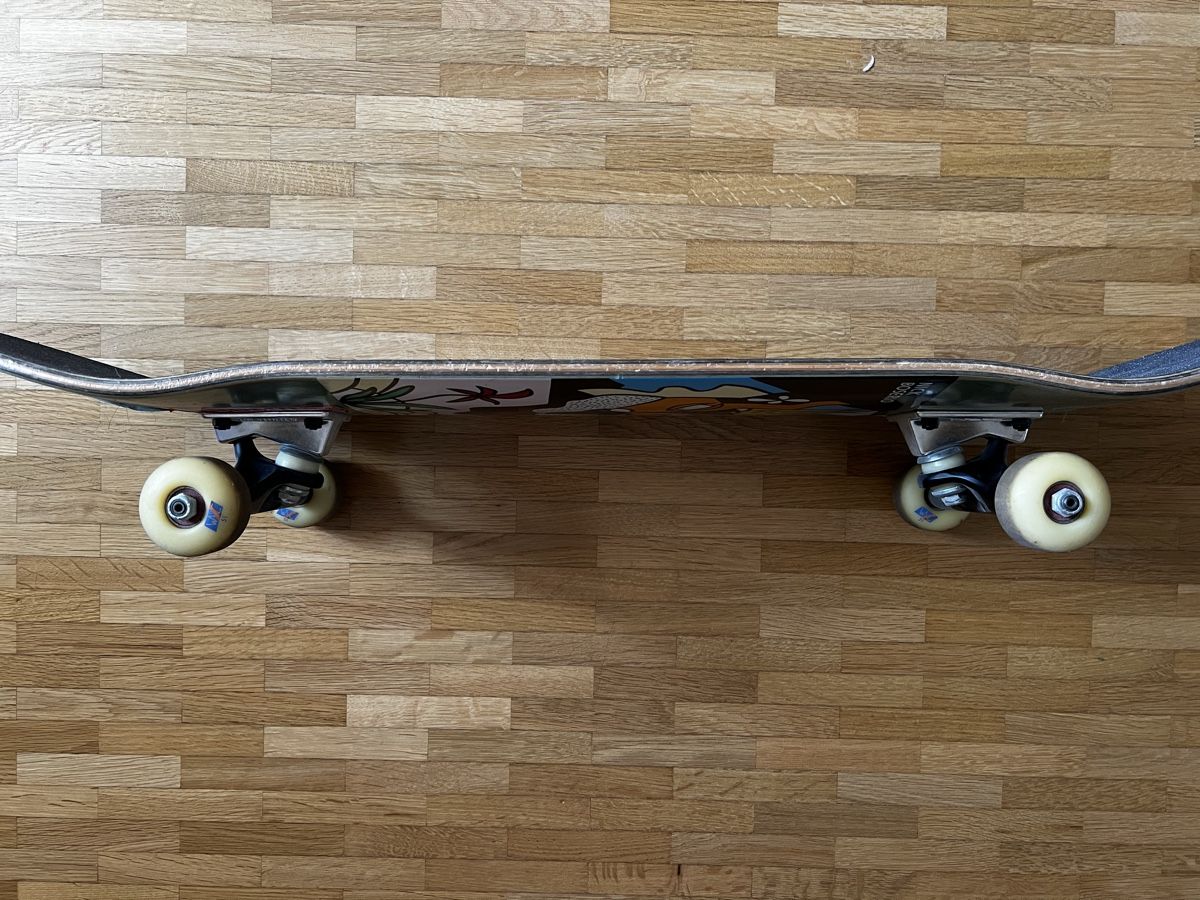 Skateboards: Skateboard Nick Boserio graphics used condition – Gebraucht aus Bern von pnlmc2325 4